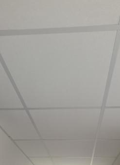 plafond laboratoire alimentaire